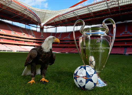 埃迪·豪：纽卡表现配得上晋级，渴望能够再次赢得奖杯（埃迪·豪：纽卡晋级实至名归，盼再度捧杯）