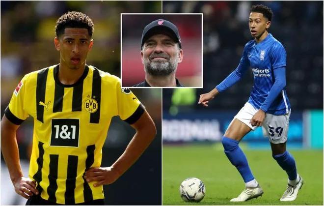 莱万：感谢球迷们的热烈支持，愿为波兰献出生命（莱万：感谢球迷的热情支持，我愿为波兰奉献一切）